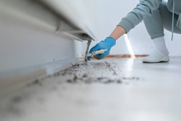 Best Emergency Pest Control  in Ddleville, MI